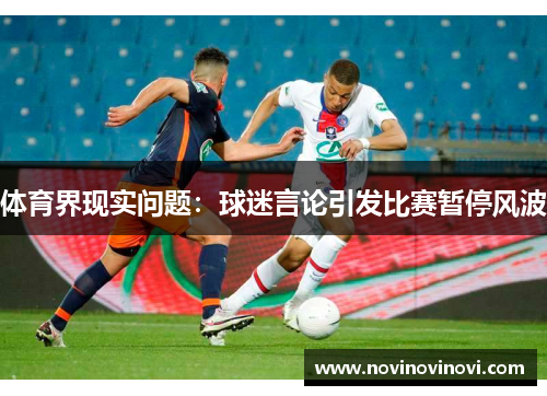 体育界现实问题：球迷言论引发比赛暂停风波